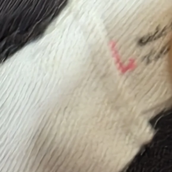 Lush Black Sleeveless Maxi Dress With Side Slit Size L - Picture 4 of 6